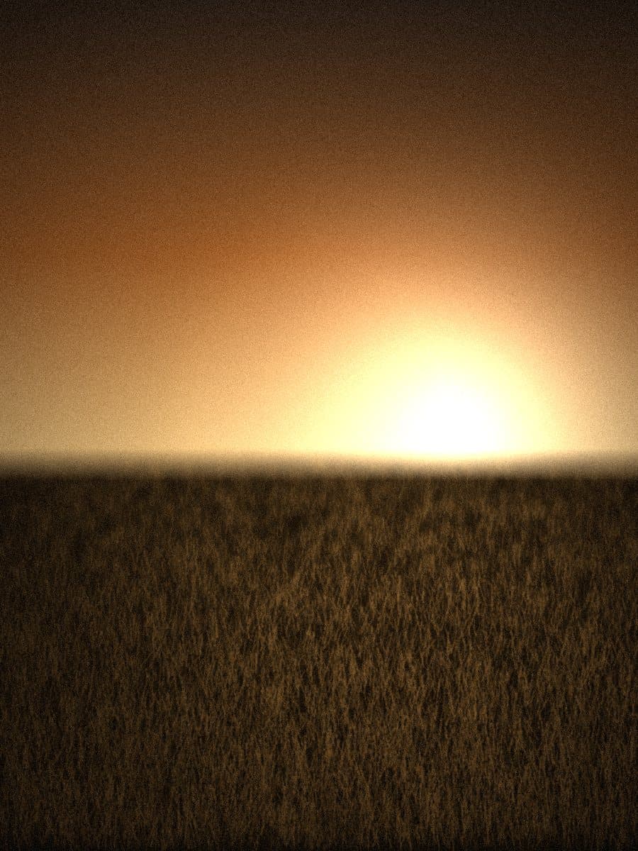 Turf at golden hour, low sun on the horizon